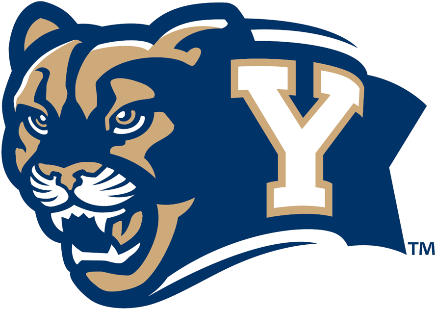 Brigham Young Cougars 2005-Pres Secondary Logo diy iron on heat transfer